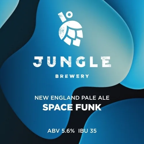 Фото Space Funk