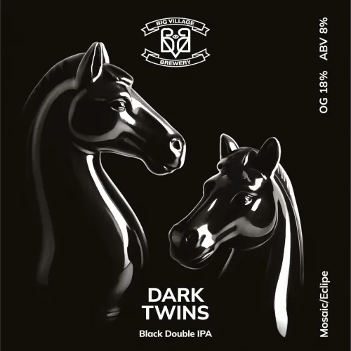 Фото DARK TWINS