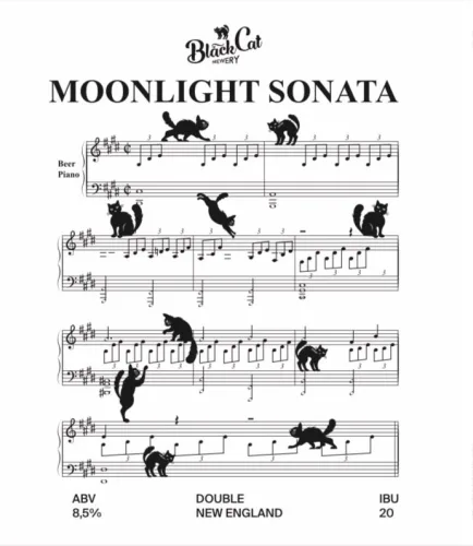 Фото Moonlight Sonata