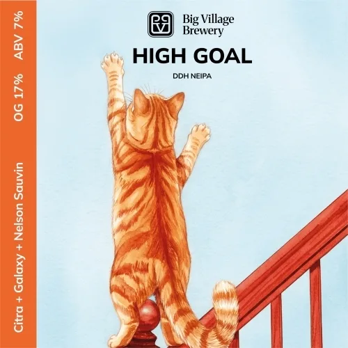 Фото HIGH GOAL