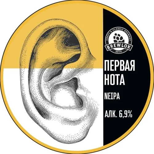 Фото Первая нота