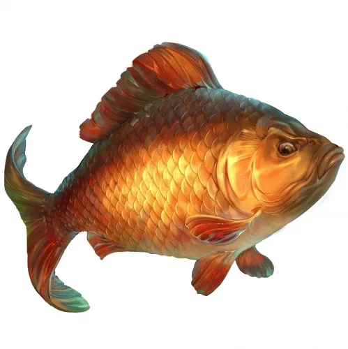 Фото Карась (Crucian)