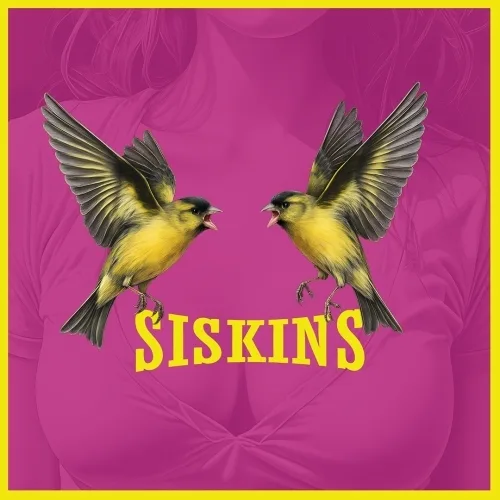 Фото Siskins