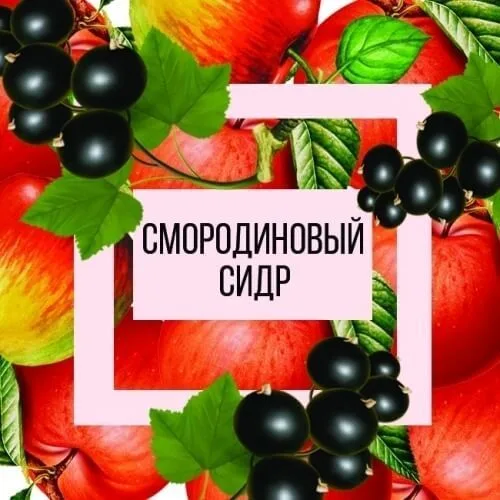 Фото Смородиновый сидр