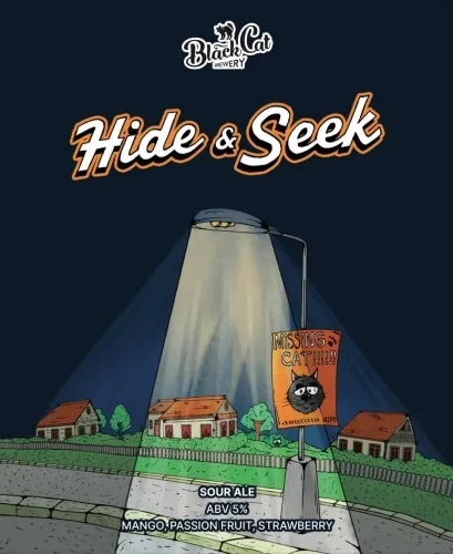 Фото Hide&Seek